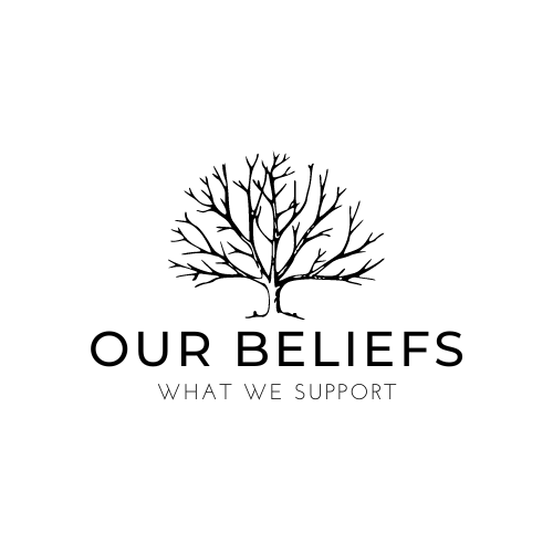 Our beliefs